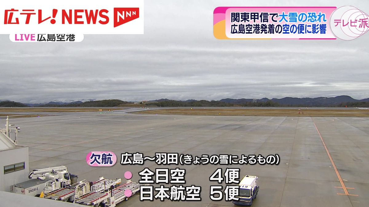 関東などで大雪　広島空港発着の便にも欠航相次ぐ【2月5日午後5時時点】