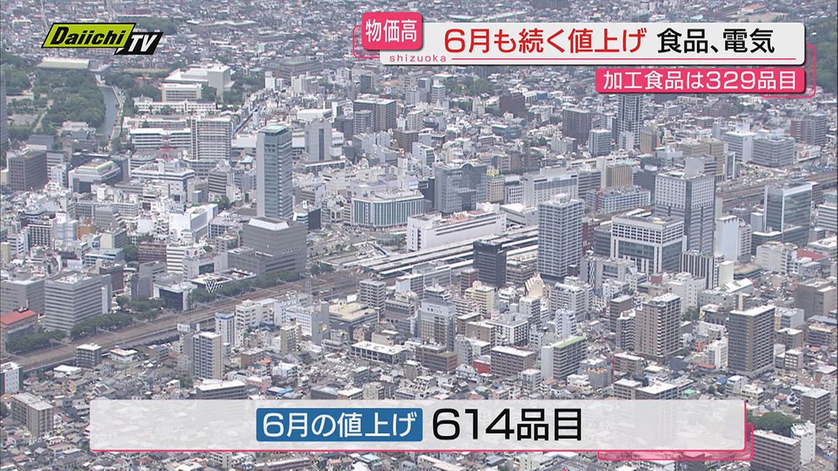 【また値上げ】６月も数多くの品目が値上がる一方で物価高対策の定額減税も始まる…生活はどうなる（静岡）