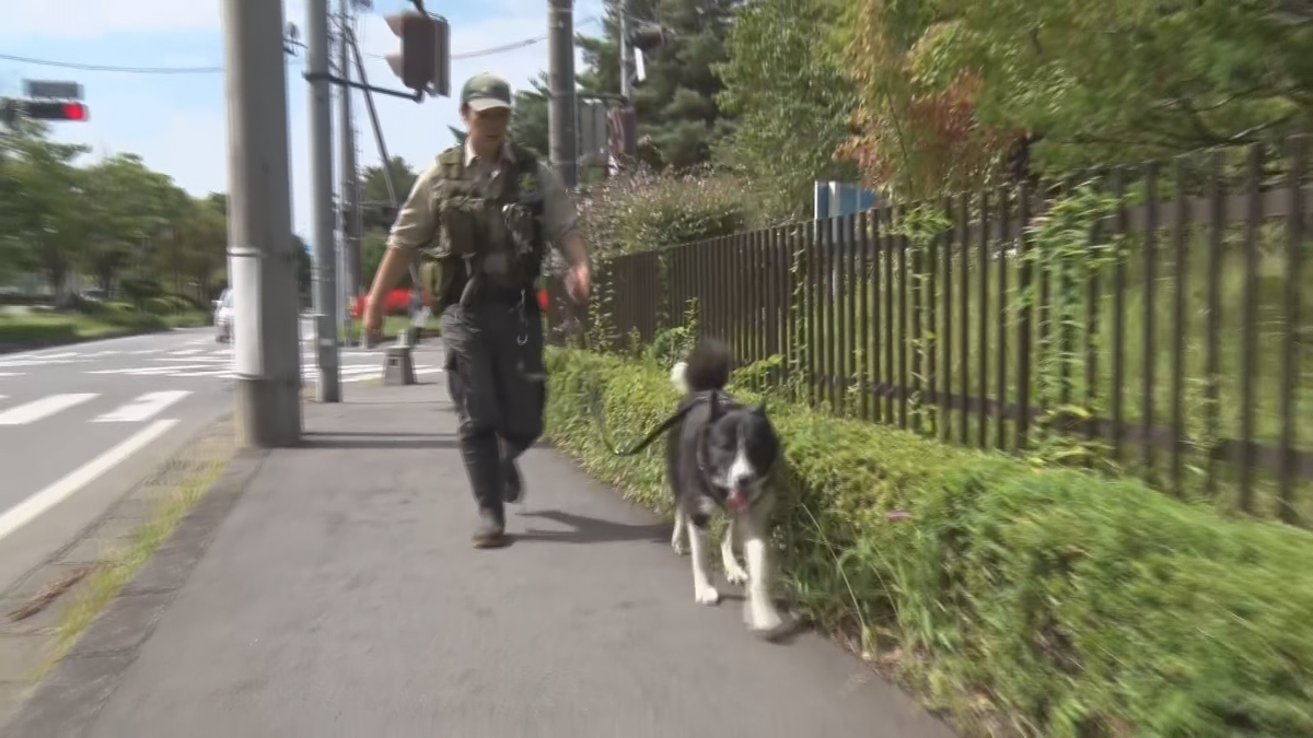 小学校の近くでクマの目撃情報相次ぐ　中野市では体長１．８メートルのクマ　御代田町は２日連続若いクマか　人や農作物への被害なし　警察が注意呼び掛け