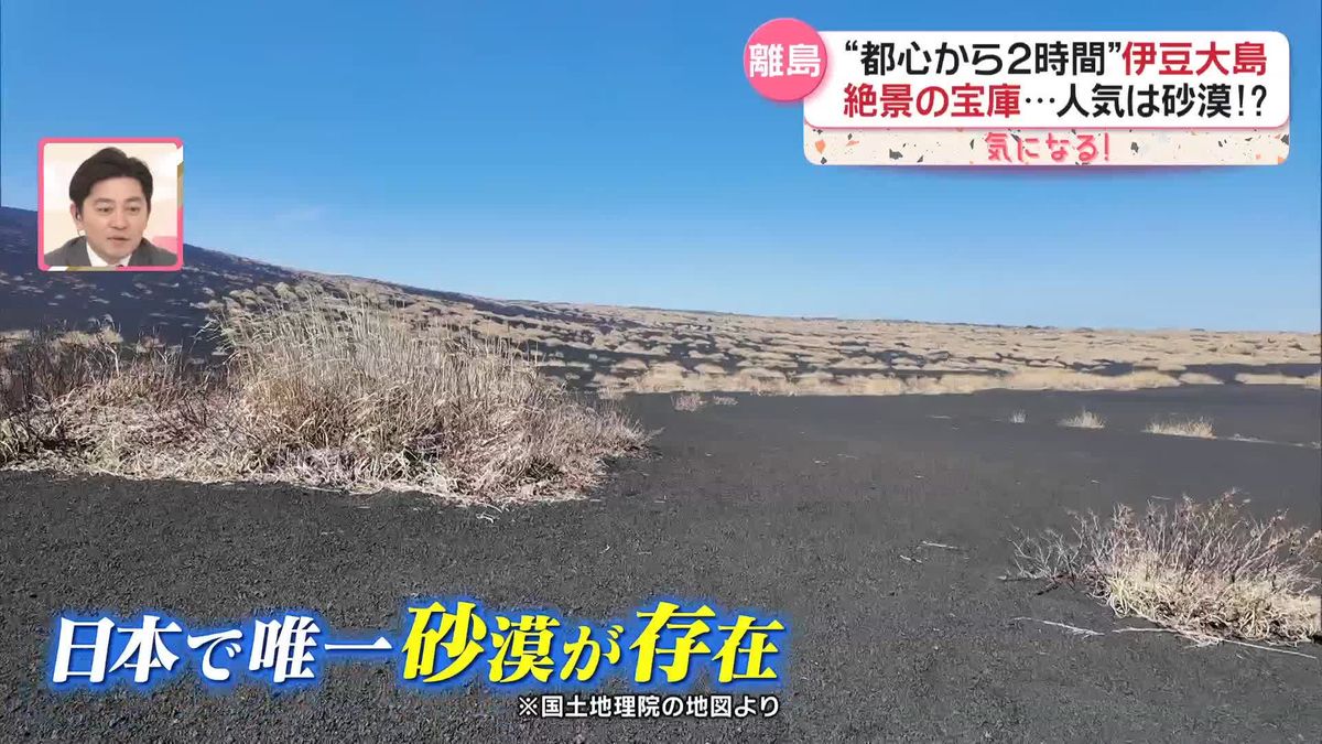 東京から最も近い離島・伊豆大島が人気　絶景＆グルメ、新たに生まれた「映えスポット」も