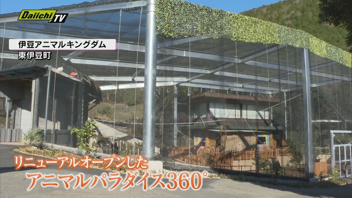 動物たちと触れ合える！伊豆の動物園 大型の展示施設をリニューアルオープン （静岡・東伊豆町）