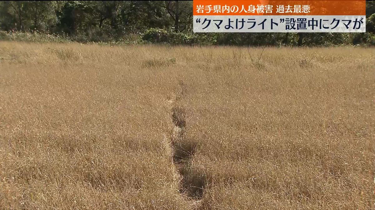 自宅の敷地でクマに襲われ…80代男性ケガ　岩手県花巻市