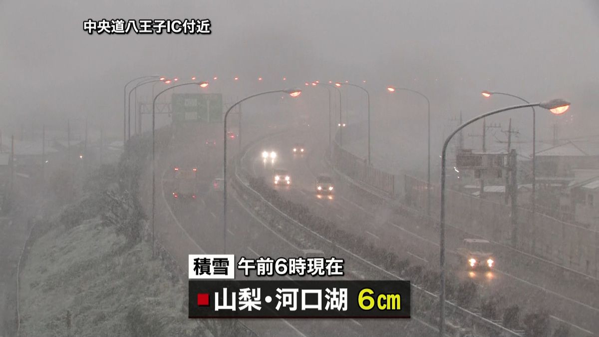 大雪注意…東京都心で５４年ぶり１１月の雪