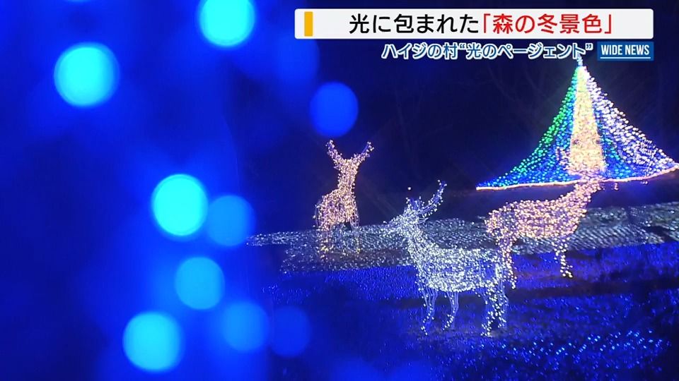 「最高でした」光の玉に輝く動物たち ハイジの村で“光のページェント” 山梨・北杜市