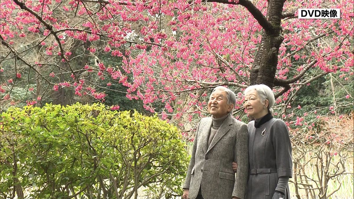 両陛下の１年間まとめたＤＶＤ制作　宮内庁