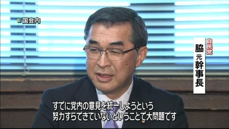 “選挙制度協議”めぐり自民・脇氏が苦言