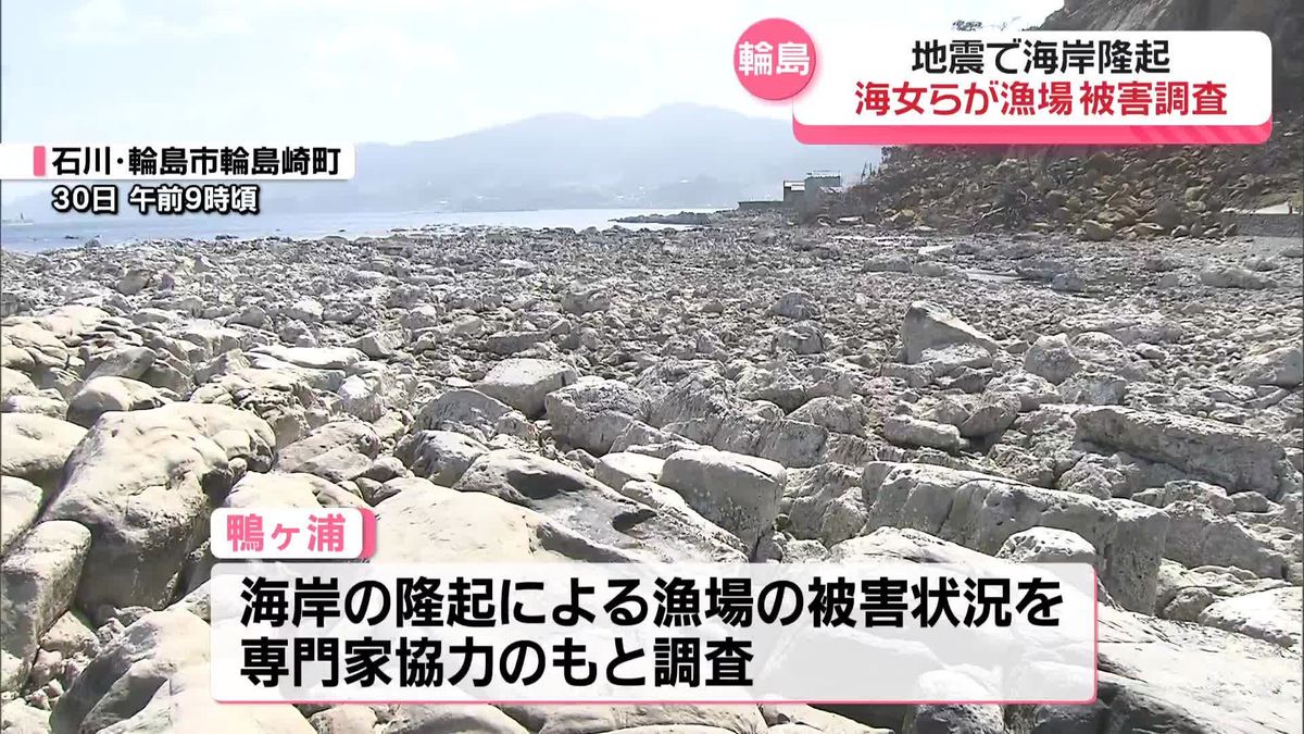 地震で海岸隆起…海女らが漁場の被害を調査　輪島