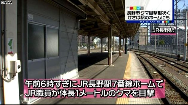 長野駅にも 長野市中心部でクマ目撃相次ぐ