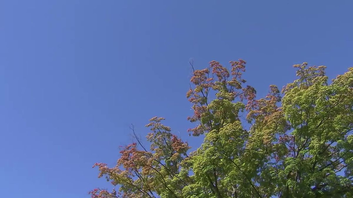 【体調管理に注意】気温差の大きい一日に　朝晩気温低く日中は真夏日予想　放射冷却と秋の空気　岩手　