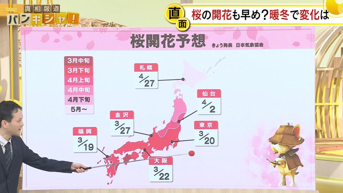 2月に異例　東京20℃超のポカポカ…　気象予報士解説　桜の開花予想も【バンキシャ！】