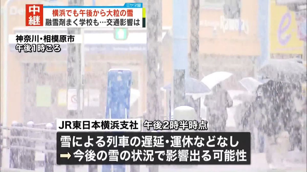 ＜中継＞横浜でも午後から大粒の雪　交通への影響は