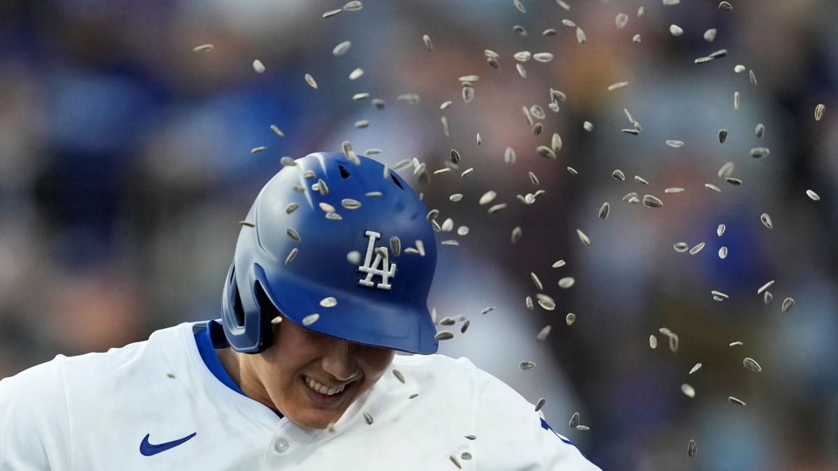 第11号HRを放ち、ひまわりの種で祝福される大谷翔平選手（写真：AP/アフロ）