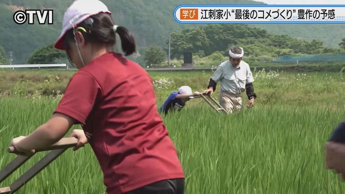 【特集】廃校となる小学校最後の米作り授業②