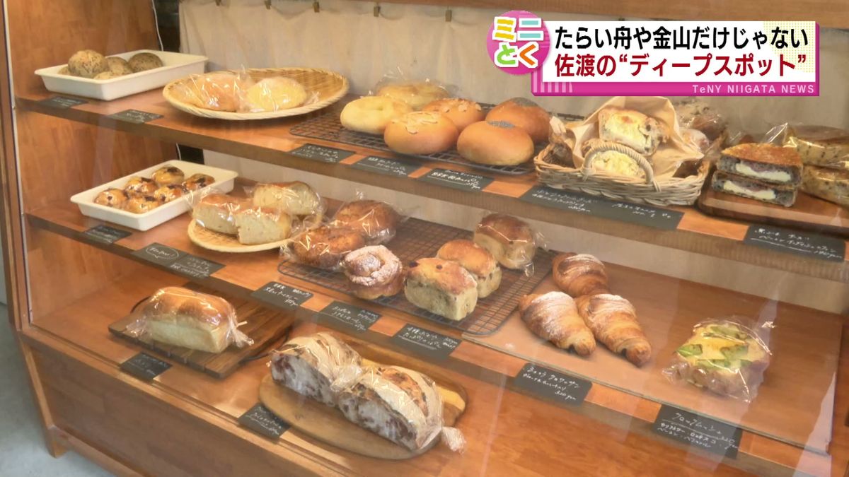 【特集】滝、パン店、原風景…　地元の人も知らない？　佐渡の“穴場スポット”を探してみた《新潟》