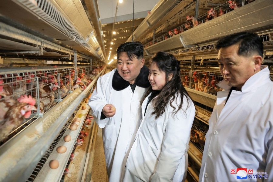 金正恩総書記「より多くの肉と卵が行き届くようにすべき」養鶏場を視察