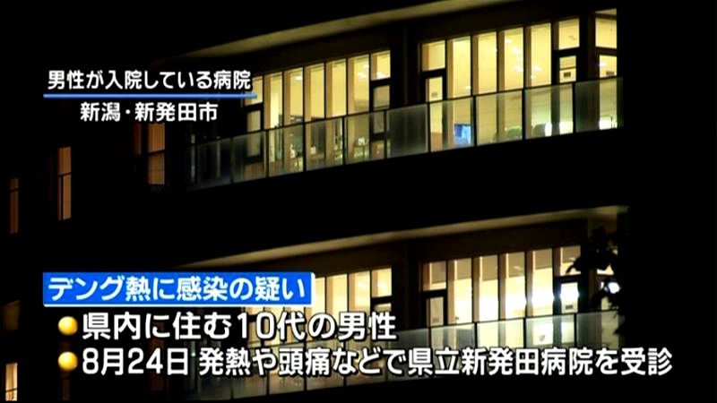 新潟の１０代男性、東京でデング熱に感染か