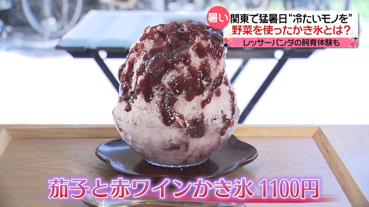 関東で猛暑日　トマトやナスも…“野菜のかき氷”人気！