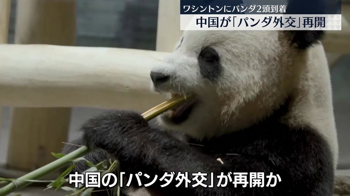 「パンダ外交」再開　米動物園に中国から2頭のパンダ到着