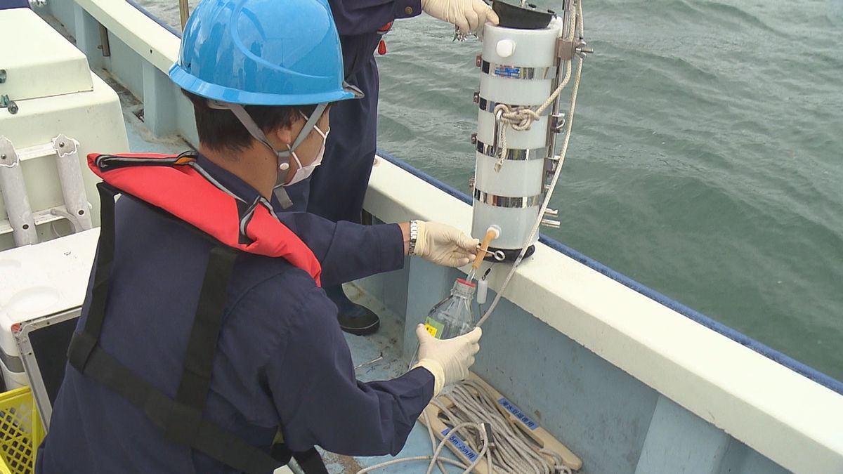 夏の到来を前に堀江海水浴場で水質調査 大腸菌の数や透明度など調べる