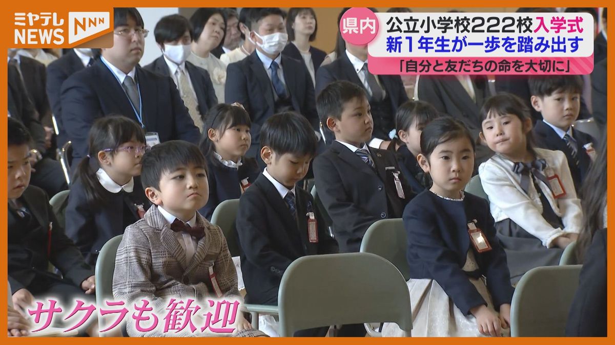 【新学期始まる】県内ほとんどの小学校で入学式や始業式「サクラもたくさん咲いてみんなを迎えてくれた」＜宮城県＞