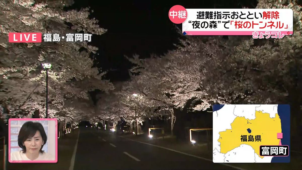 避難指示解除“夜の森”で「桜のトンネル」　福島・富岡町