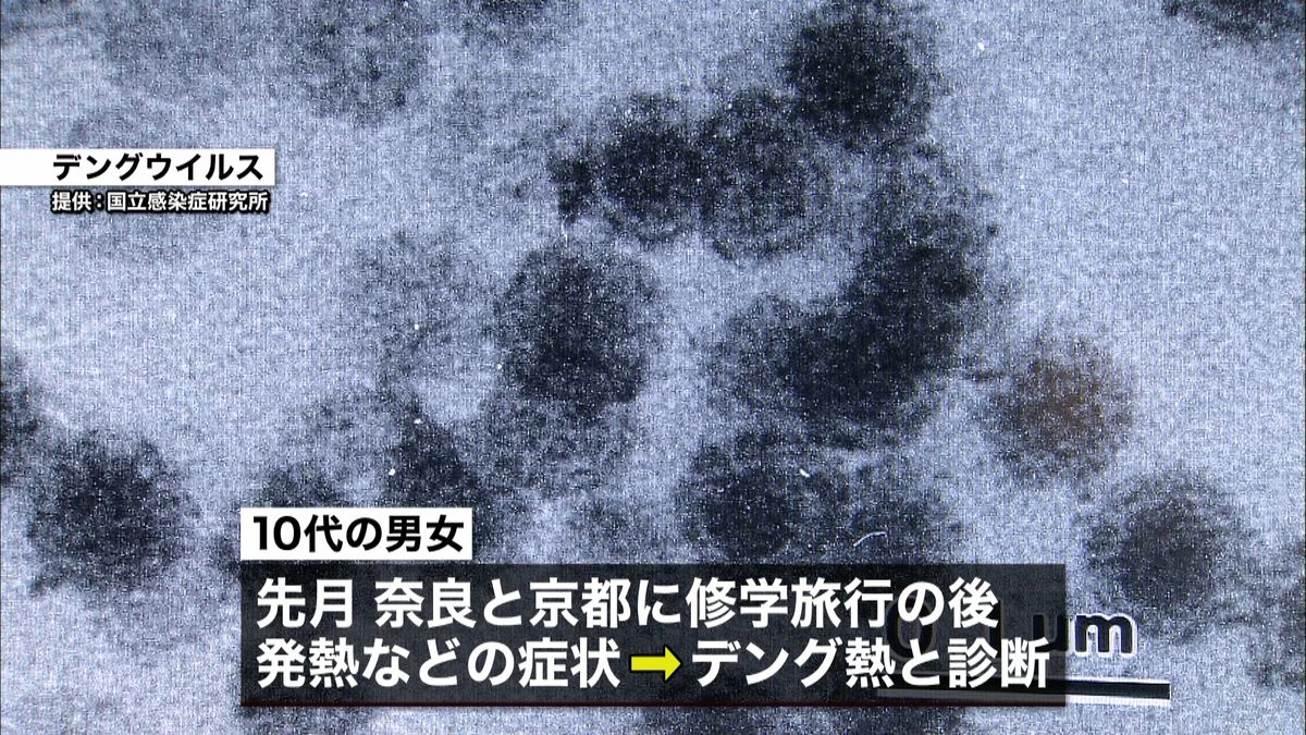 １０代男女がデング熱　奈良か京都で感染か