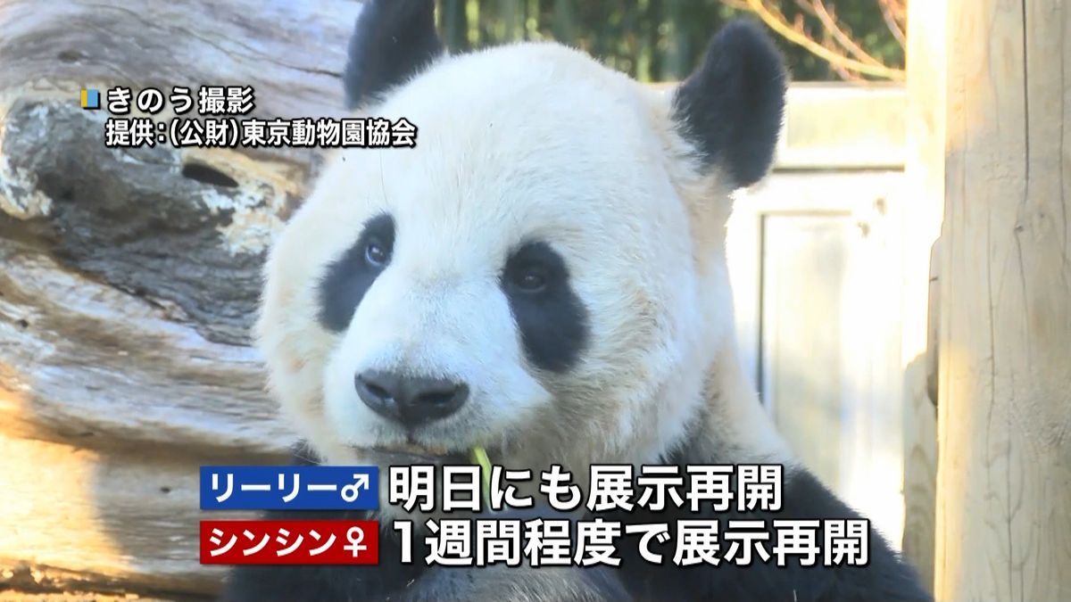 上野動物園のパンダ　今季の繁殖断念