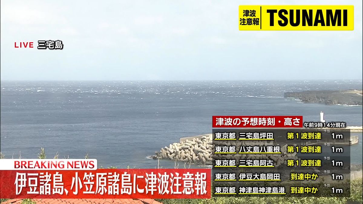 小笠原村役場、津波による被害は確認されず（午前9時10分時点）