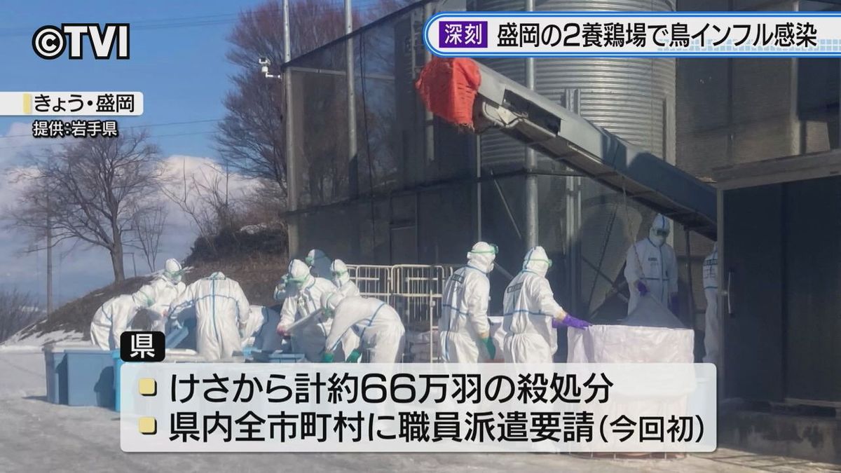 新たに盛岡市内2か所の養鶏場で高病原性鳥インフルエンザ　ことし5例目　農水省は岩手に現地対策本部設置