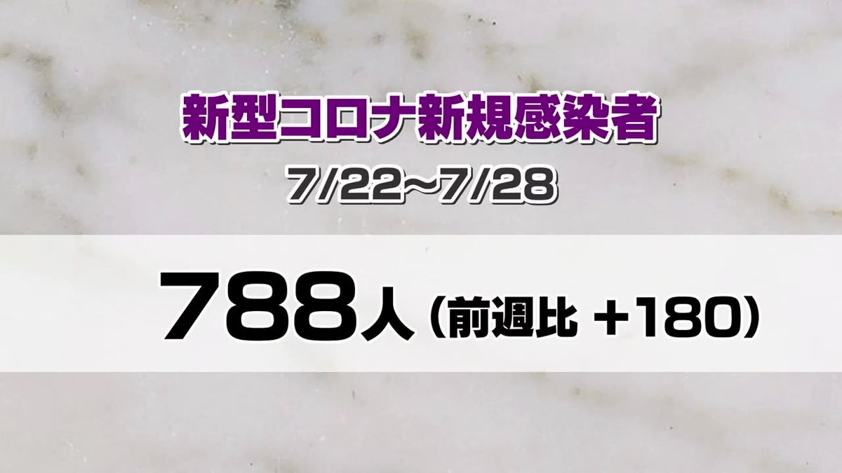 【新型コロナ】1医療機関あたり12.51人　3月以来10人超　岩手