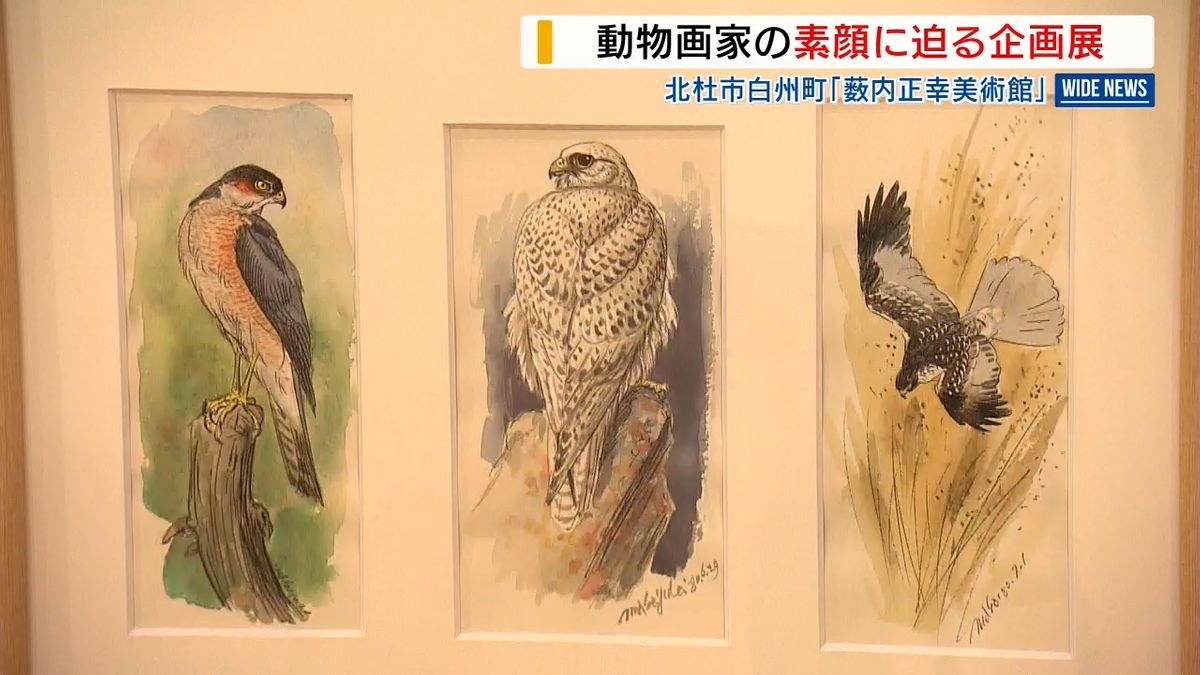 動物画家・薮内正幸さんの素顔に迫る企画展 プライベートで描かれた作品を展示 山梨・北杜市