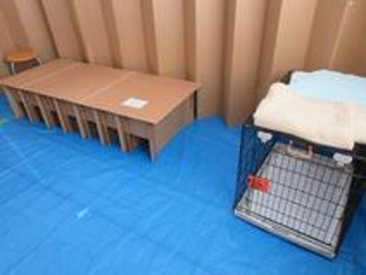 ペット同伴避難所　新潟市西区で初めて開設　「避難所でペットと一緒に過ごしたい」　《新潟》