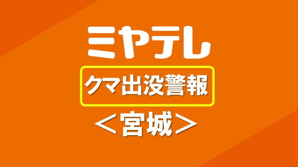 「クマがウロウロしている…」民家の納屋にクマ　警察官4人で追い払う＜宮城＞