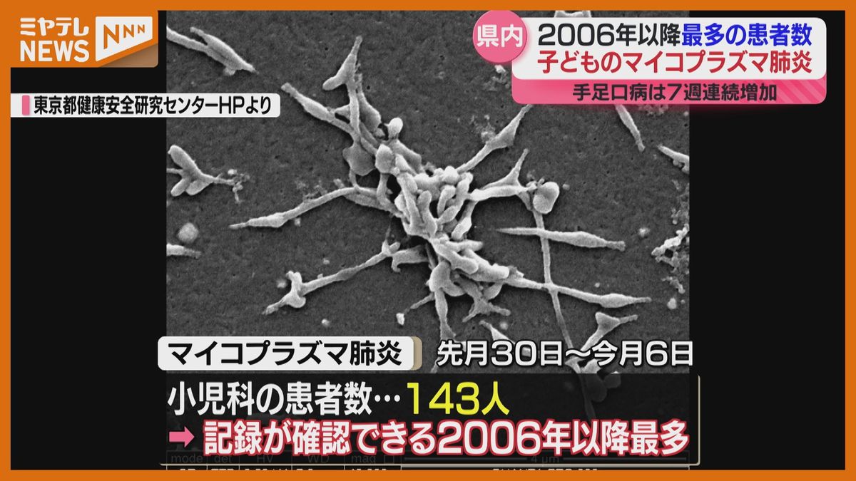 ＜2006年以降”最多”＞『マイコプラズマ肺炎』小児科での患者数（宮城県の定点調査）