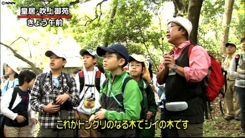 こどもの日、皇居で小学生対象の自然観察会