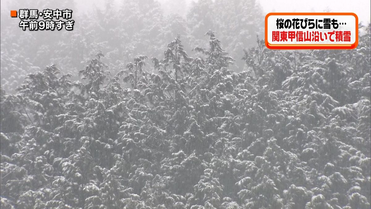 一面真っ白に…関東甲信で山沿い中心に積雪