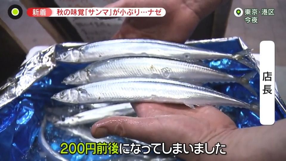 異例の暑さで…秋の味覚「サンマ」不漁・小ぶりに　ネギ枯れて高騰…　居酒屋“定番メニュー”に異変