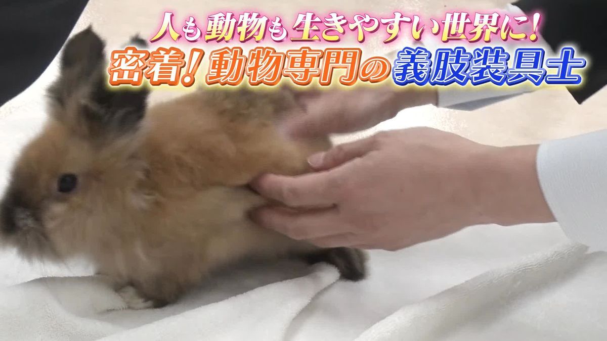 密着！　動物専門の義肢装具士