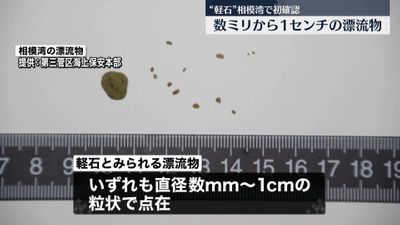 軽石 相模湾で初確認 数ミリ １センチ