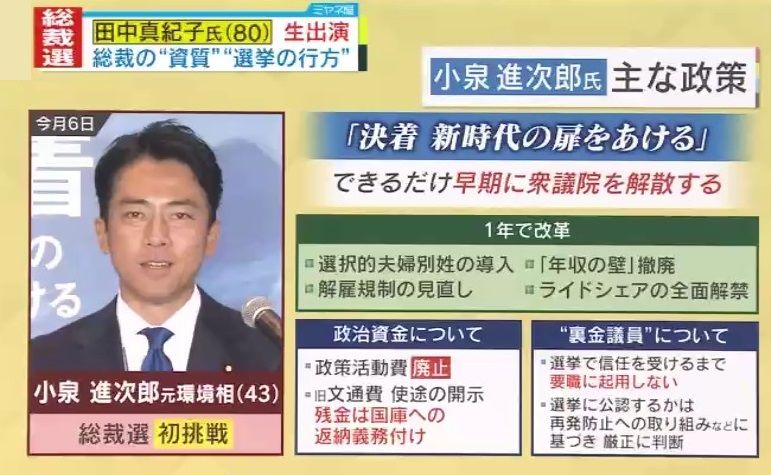 様々な政策掲げる進次郎氏だが…