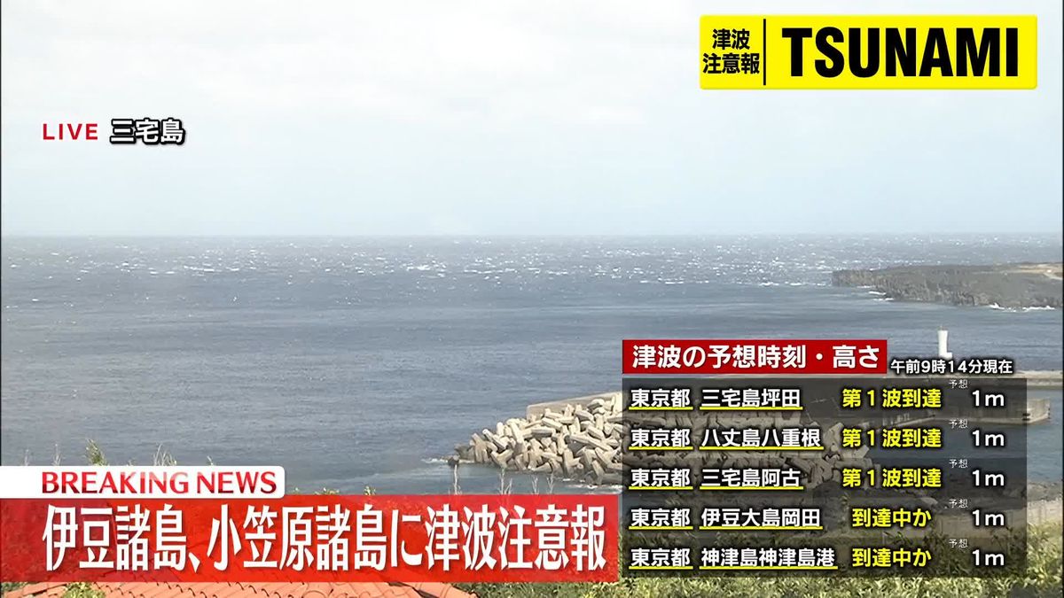 鳥島近海では過去にも地震の規模に比べ大きな津波　海底火山の影響か