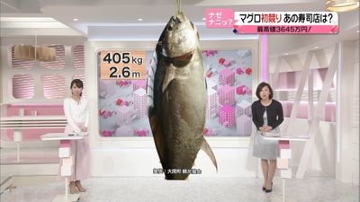 マグロ１匹に大奮発 初競り ウラ事情