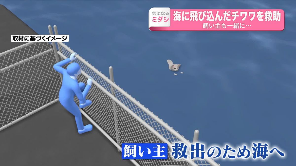 海に飛び込んだチワワを救助　飼い主も一緒に…　警察から4人に感謝状　神奈川