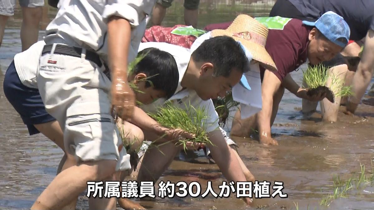 自民党「米作りプロジェクト」都内で田植え