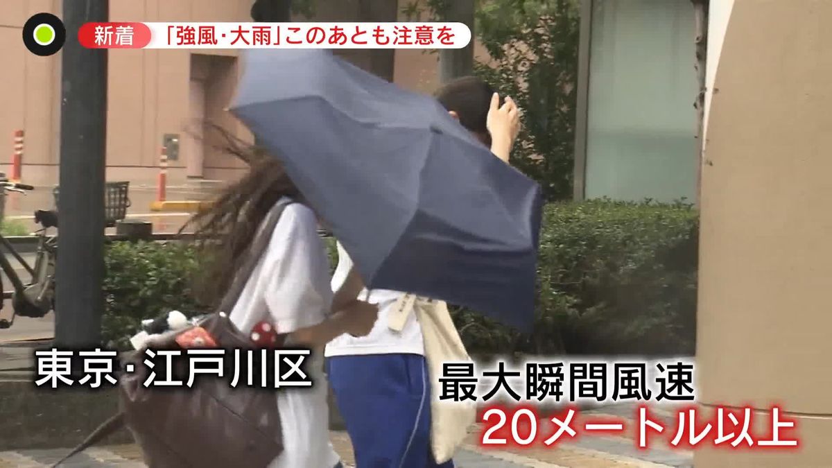 “風キャン”…強風でTDLのパレード中止　列島各地で危険な雨と風　「もうダメだ…」と嘆く帰宅者も