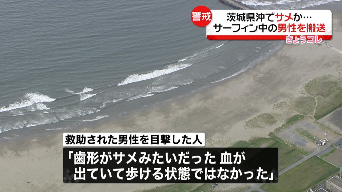 サーフィン中に襲われ…　茨城県沖にサメか