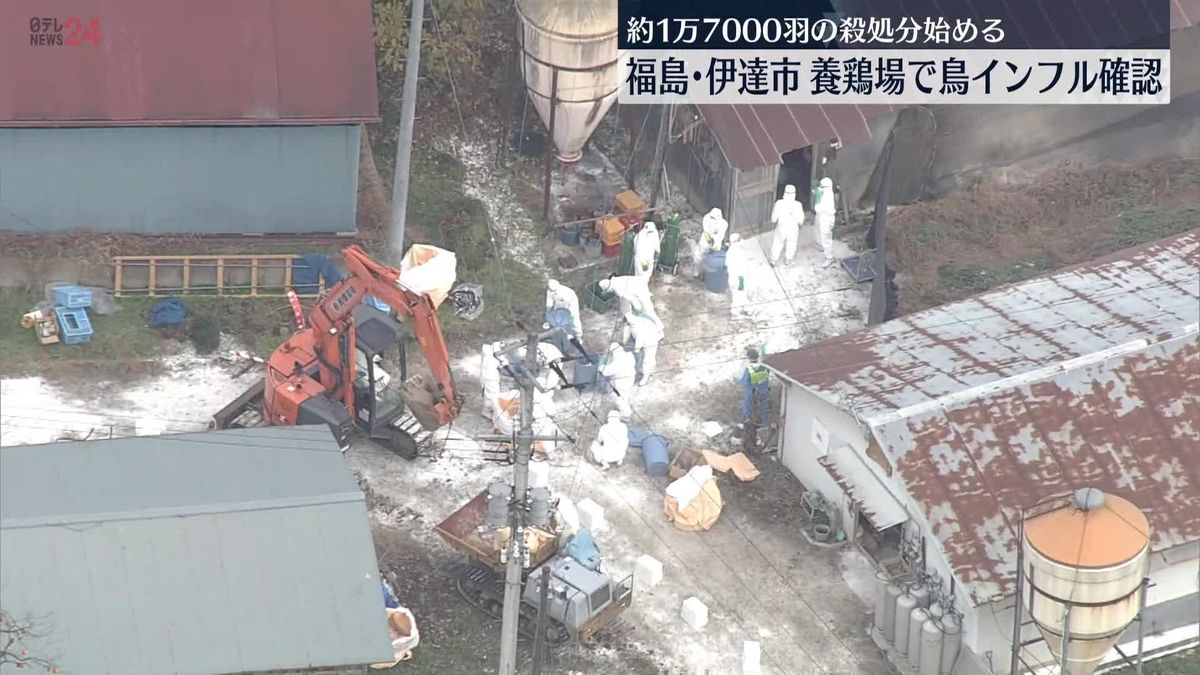 「高病原性鳥インフルエンザ」確認　養鶏場で殺処分などの対応開始　福島・伊達市