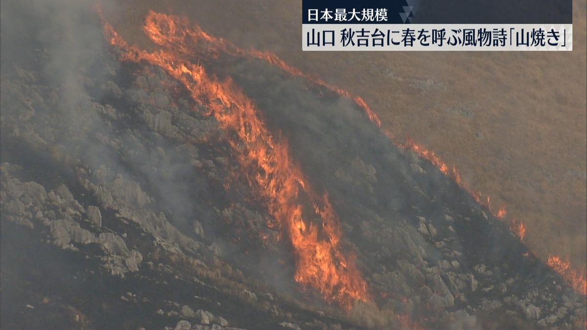 山口で春を呼ぶ風物詩「秋吉台の山焼き」