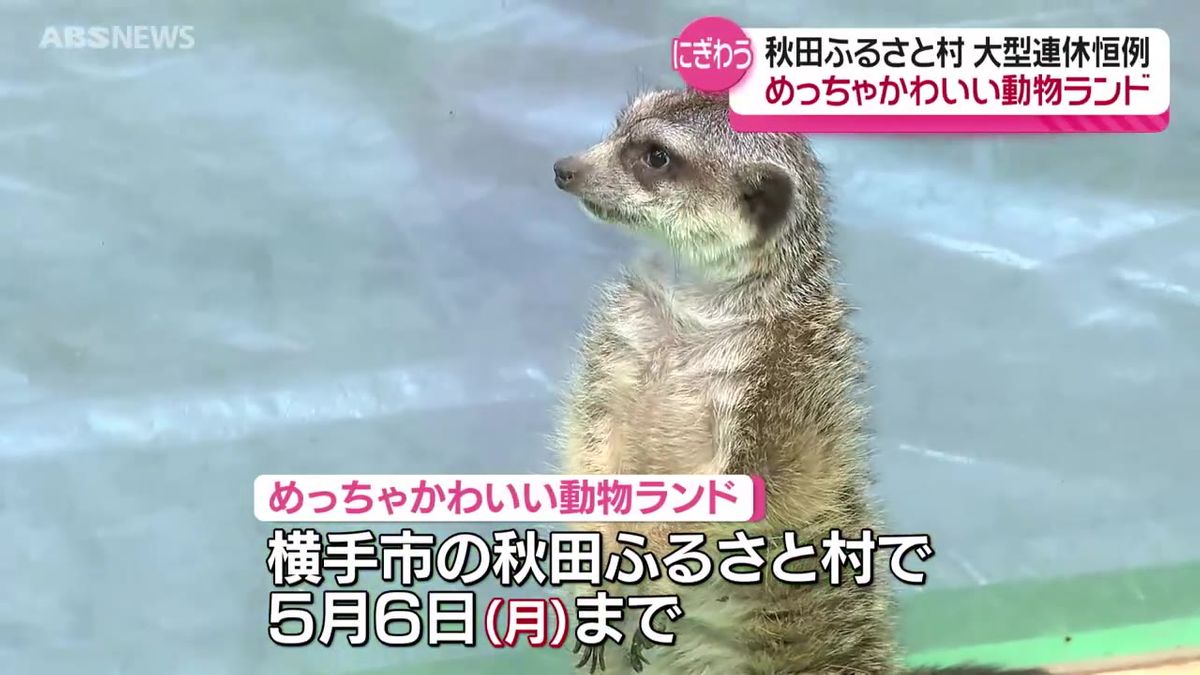 かわいい動物大集合！恒例のイベントにぎわう