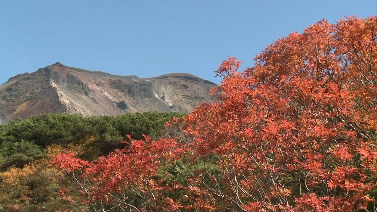 北海道大雪山系・旭岳　早くも紅葉が見ごろ